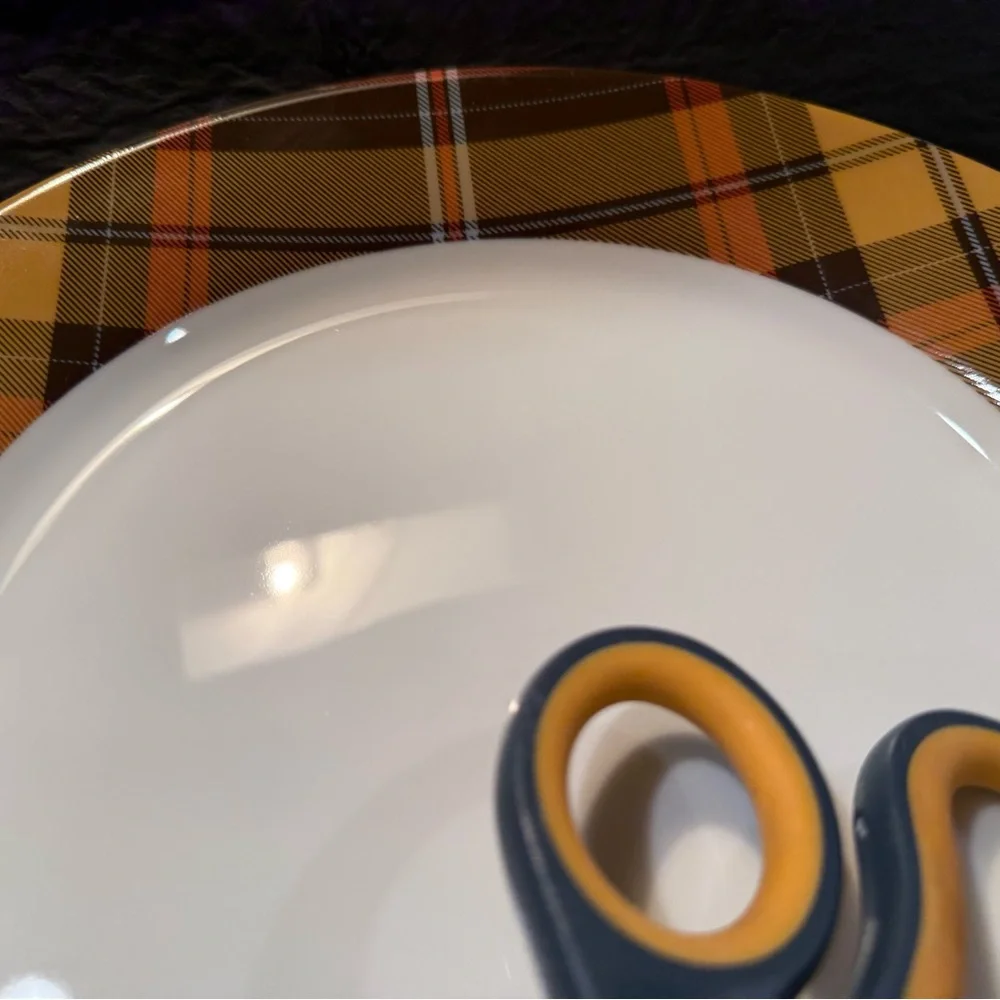 LAST ONE! New Williams Sonoma Autumn/Harvest Plaid Dinner Plate, 10 5/8”